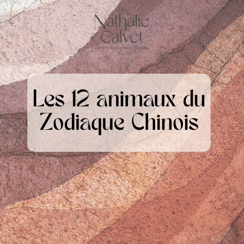 Les 12 Gardiens du Temps